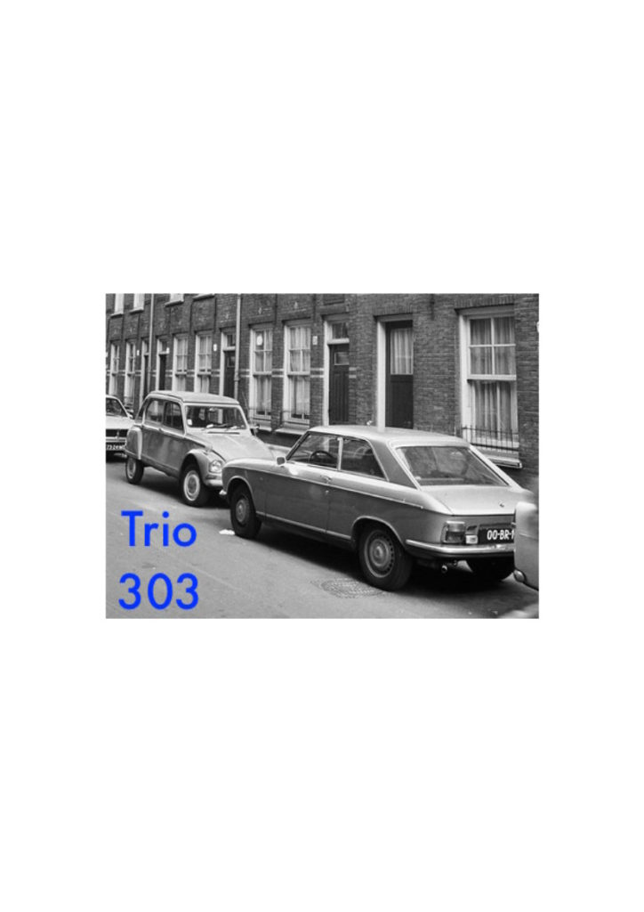 Trio 303